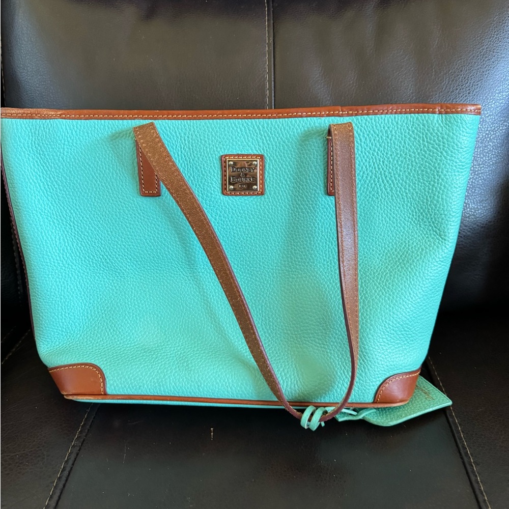 Dooney and Bourke mint tote